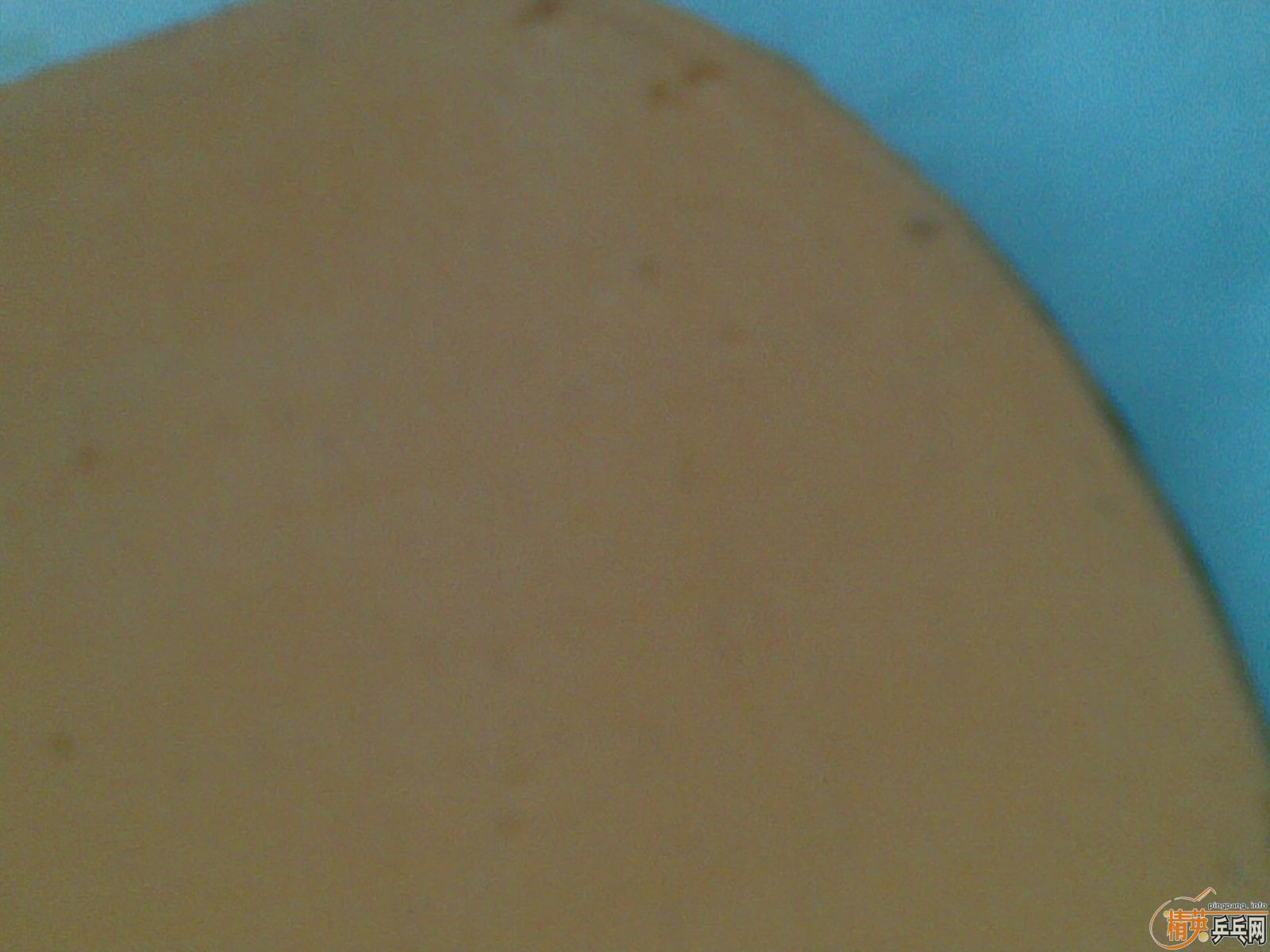 ��������MC-2һ�ף������ã��������729����9.5�£�100Ԫ�����ʣ�֧��֧����������һ��FL����EG��OC��