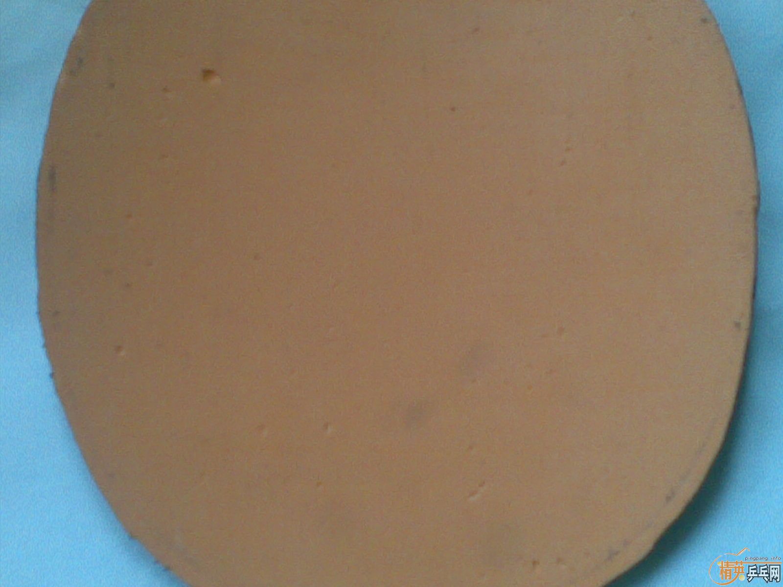 ��������MC-2һ�ף������ã��������729����9.5�£�100Ԫ�����ʣ�֧��֧����������һ��FL����EG��OC��