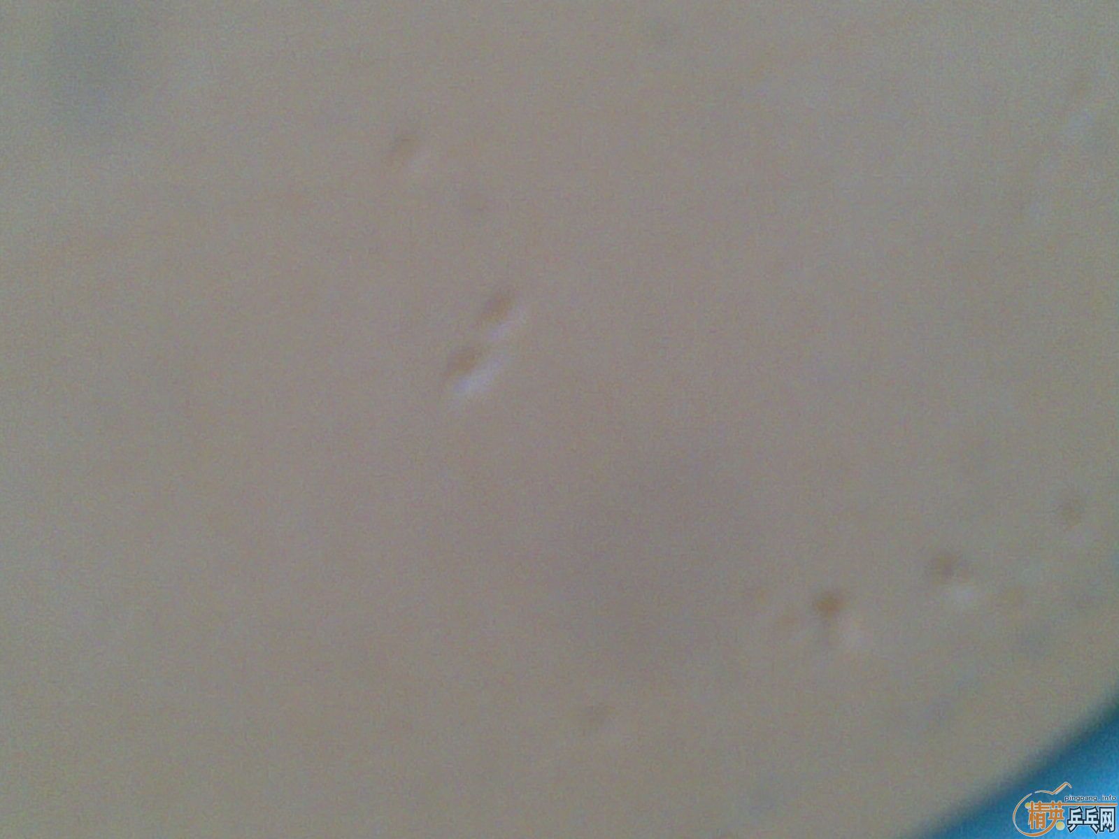 ��������MC-2һ�ף������ã��������729����9.5�£�100Ԫ�����ʣ�֧��֧����������һ��FL����EG��OC��