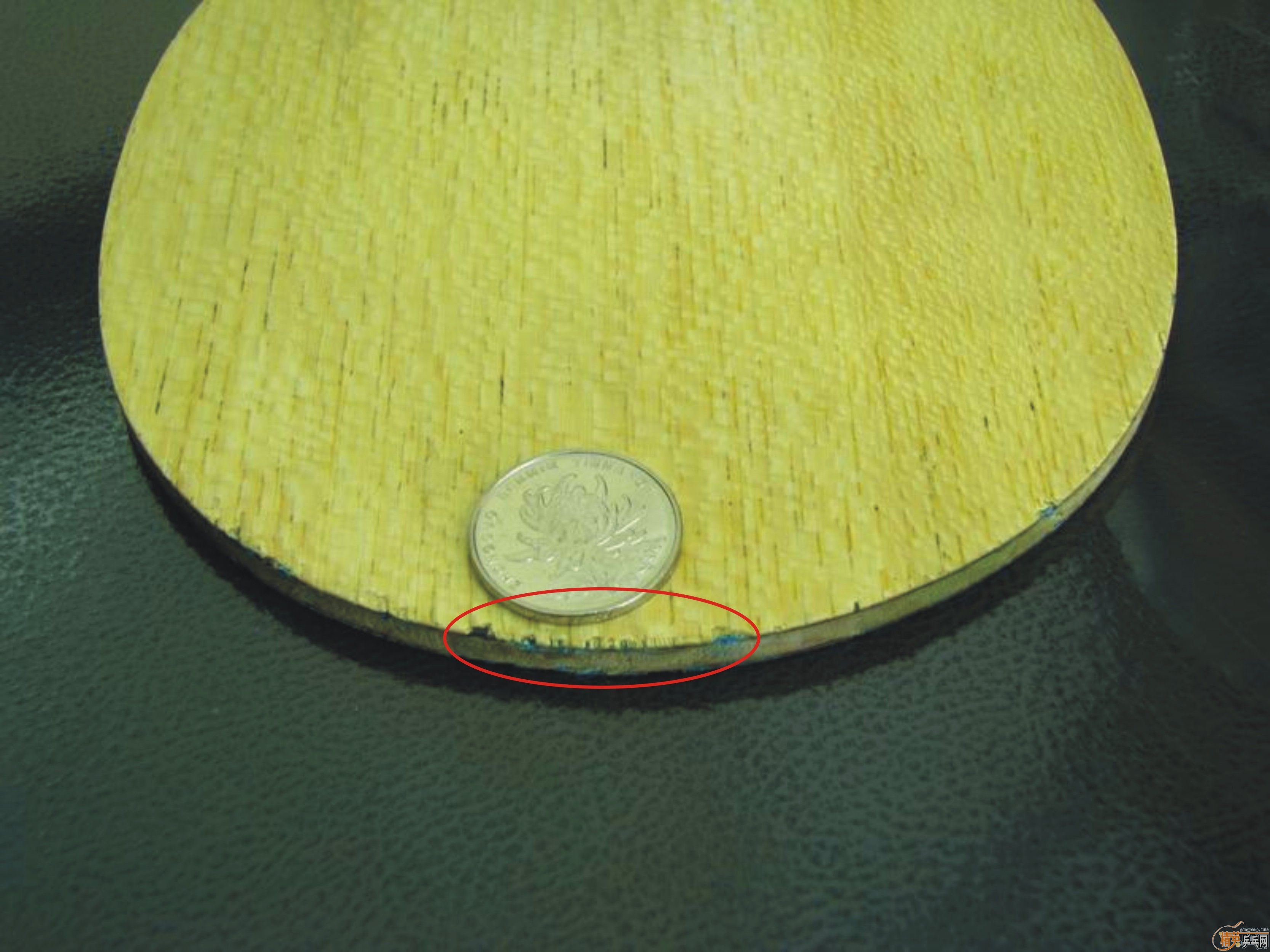 �� �ϲ�����Timo Boll Spirit CS�� ���� �����ƣ��ѱ�Ԥ����