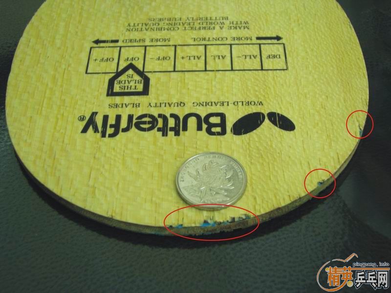 �� �ϲ�����Timo Boll Spirit CS�� ���� �����ƣ��ѱ�Ԥ����