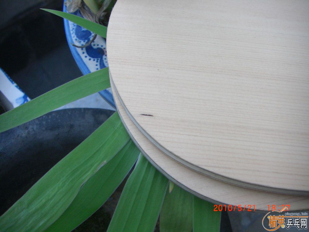 ������V1 ����V2 ϰ���˴�ľ ����̼�� ֧����