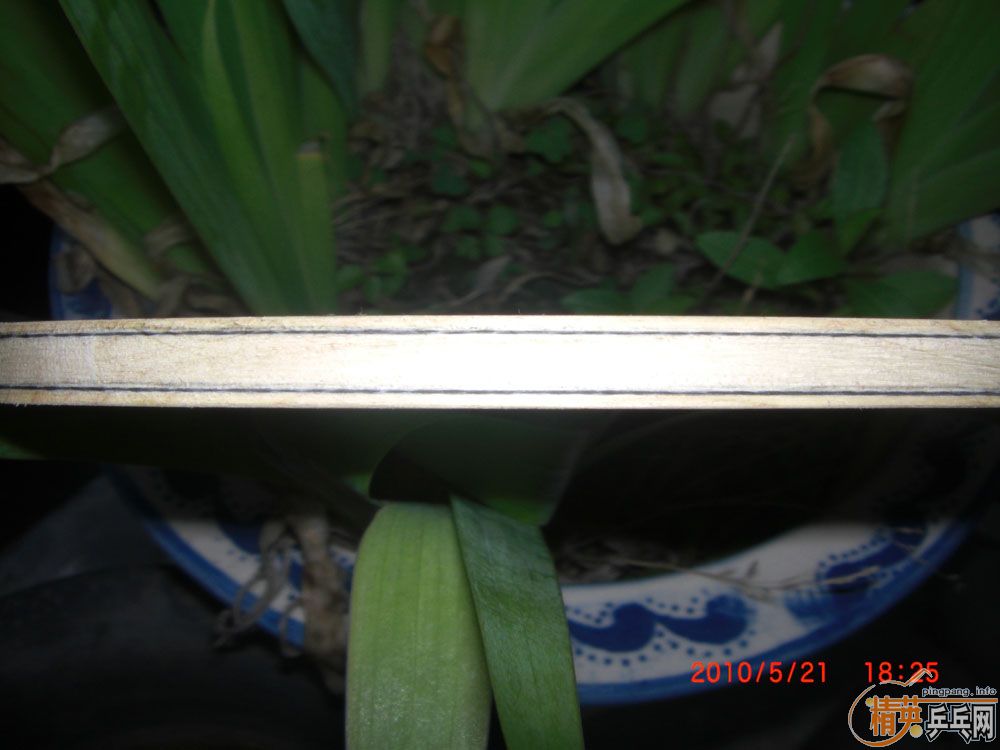 ������V1 ����V2 ϰ���˴�ľ ����̼�� ֧����