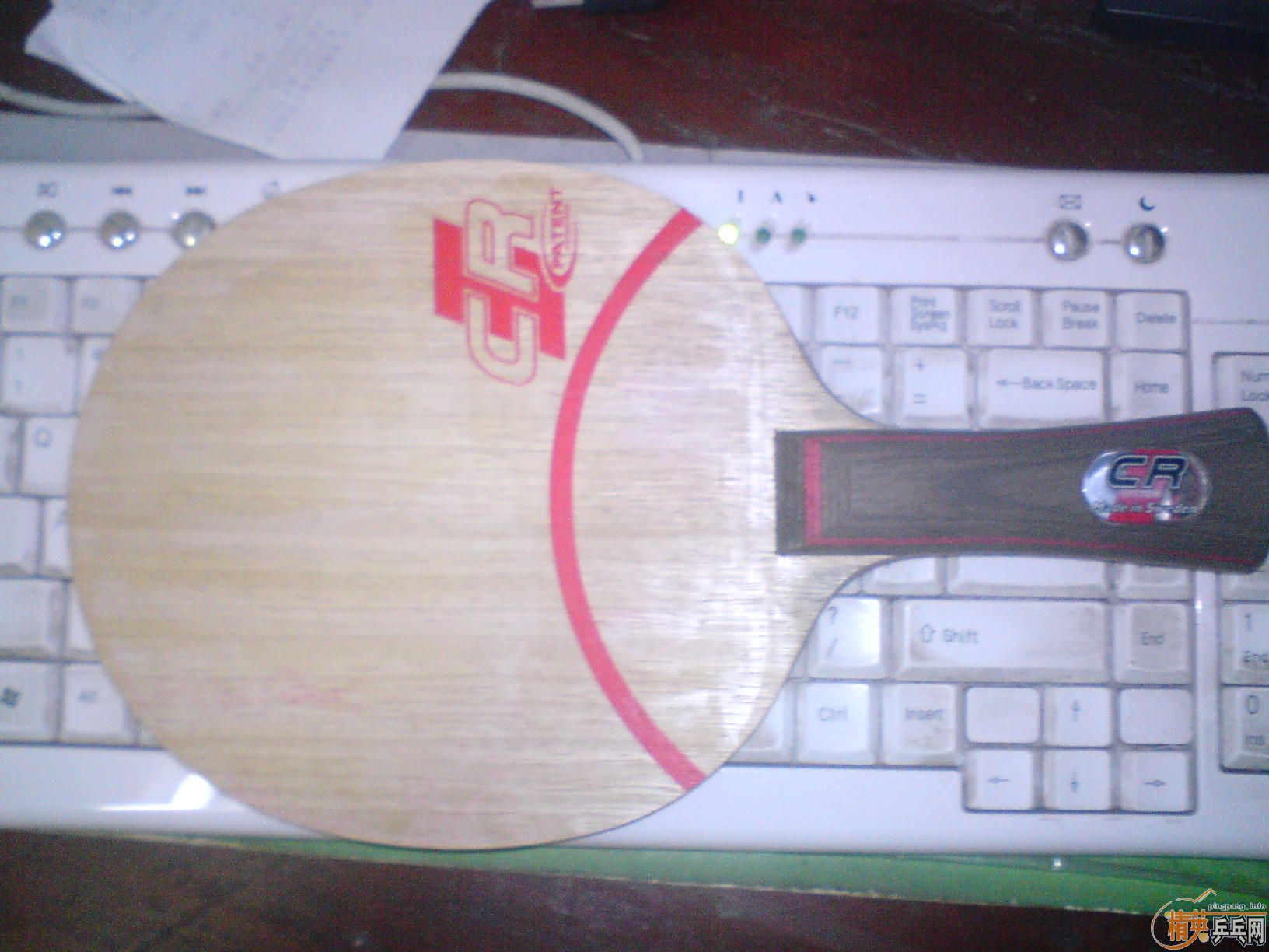 ���л�FL��CL-CR-WRB��320Ԫ����ݣ���������˿��