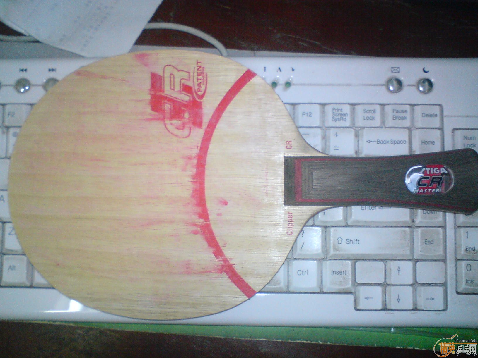 ���л�FL��CL-CR-WRB��320Ԫ����ݣ���������˿��