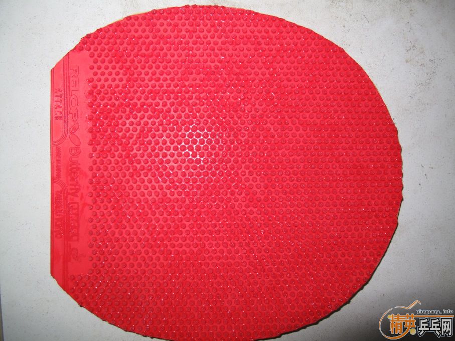 ������relop attack1.9  �����׽�