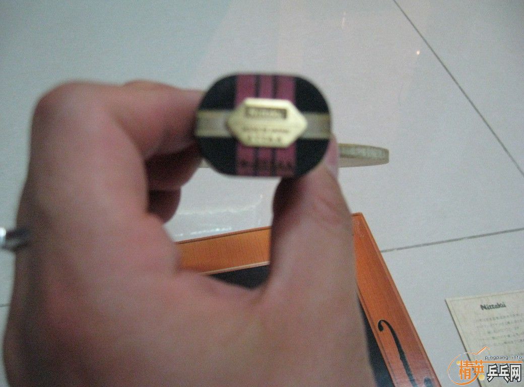 ���˳�9.5��С����