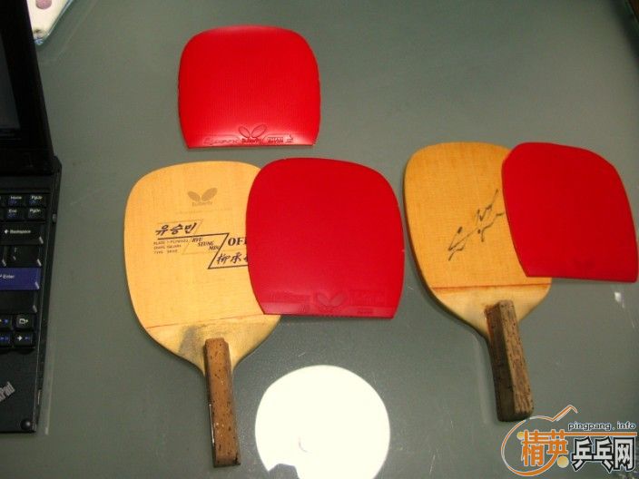 [����] Butterfly �f�F�� С���� Cypress Special  10mm (<80g)