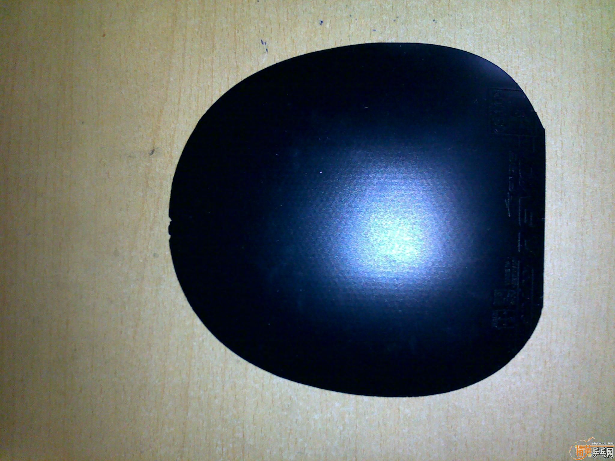 85�°��ȸ����һ����ܣ�~�����߻�