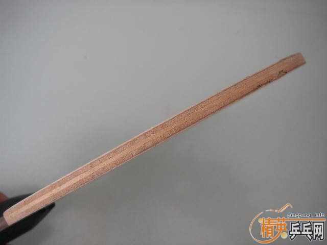 �����ɭPPP