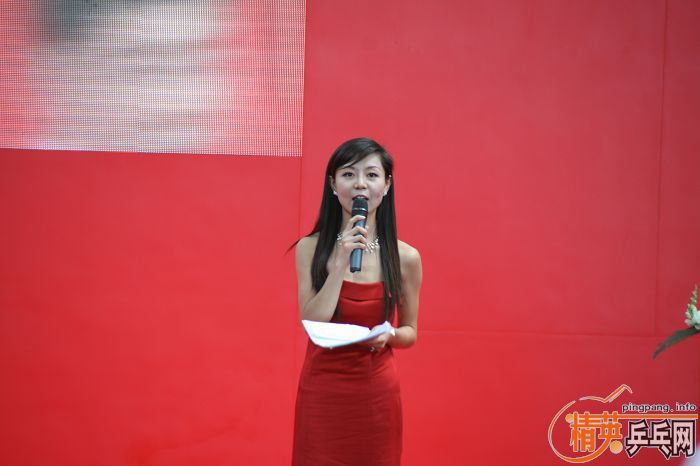 ���ͣ�2010�岩��ƹ�ҳ���ȫ��ͼƬ������