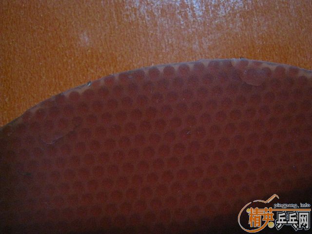 ���������speed fx