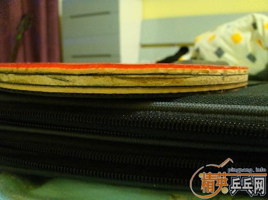 stiga eg���ۻ򽻻�