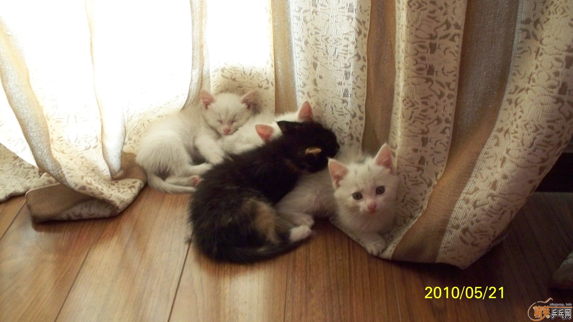 ���ϰ���,��3��3,120����˳��,���������Ϳɰ�Сè��