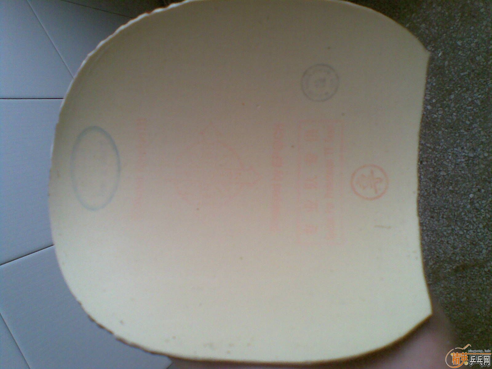 ����ħ���׽�������