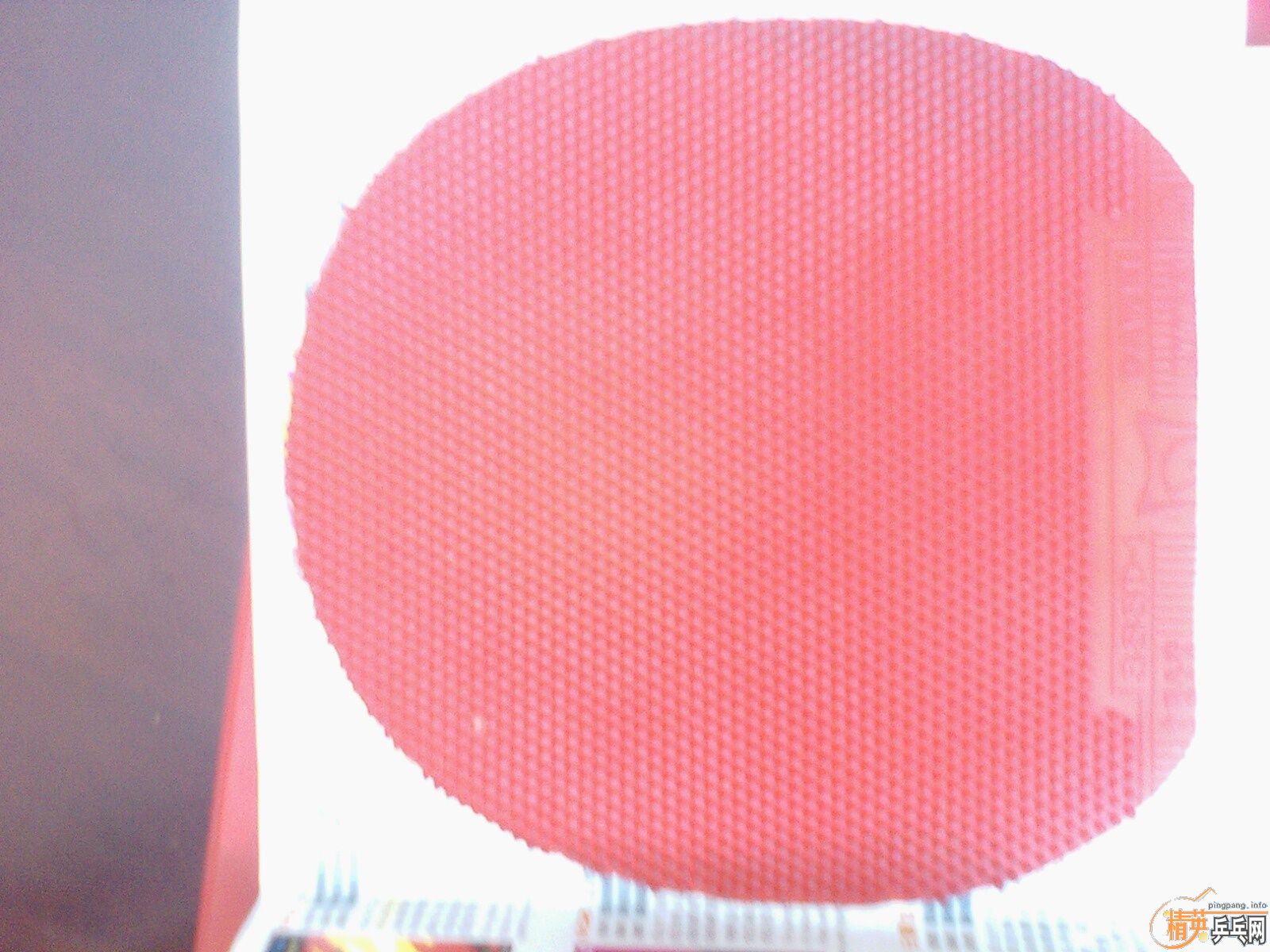 �Ĵ���ë���ˣ���07������һ�ѽ�Ƥ�����������ͺ��ࣩ��֧����