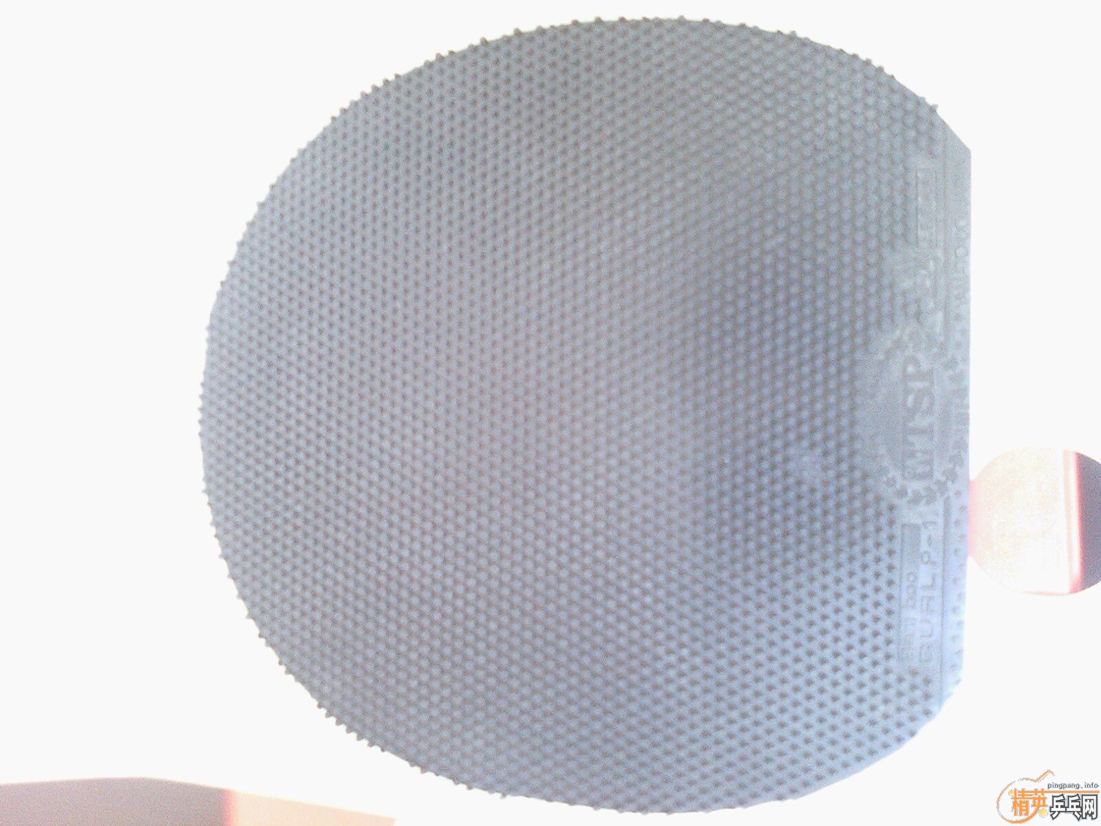 �Ĵ���ë���ˣ���07������һ�ѽ�Ƥ�����������ͺ��ࣩ��֧����