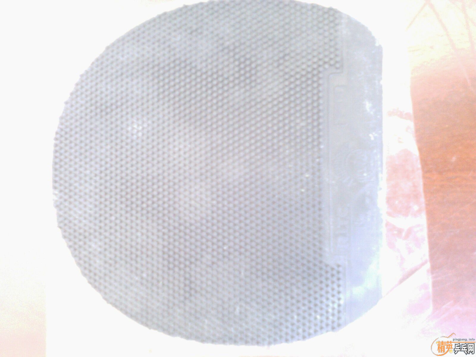 �Ĵ���ë���ˣ���07������һ�ѽ�Ƥ�����������ͺ��ࣩ��֧����