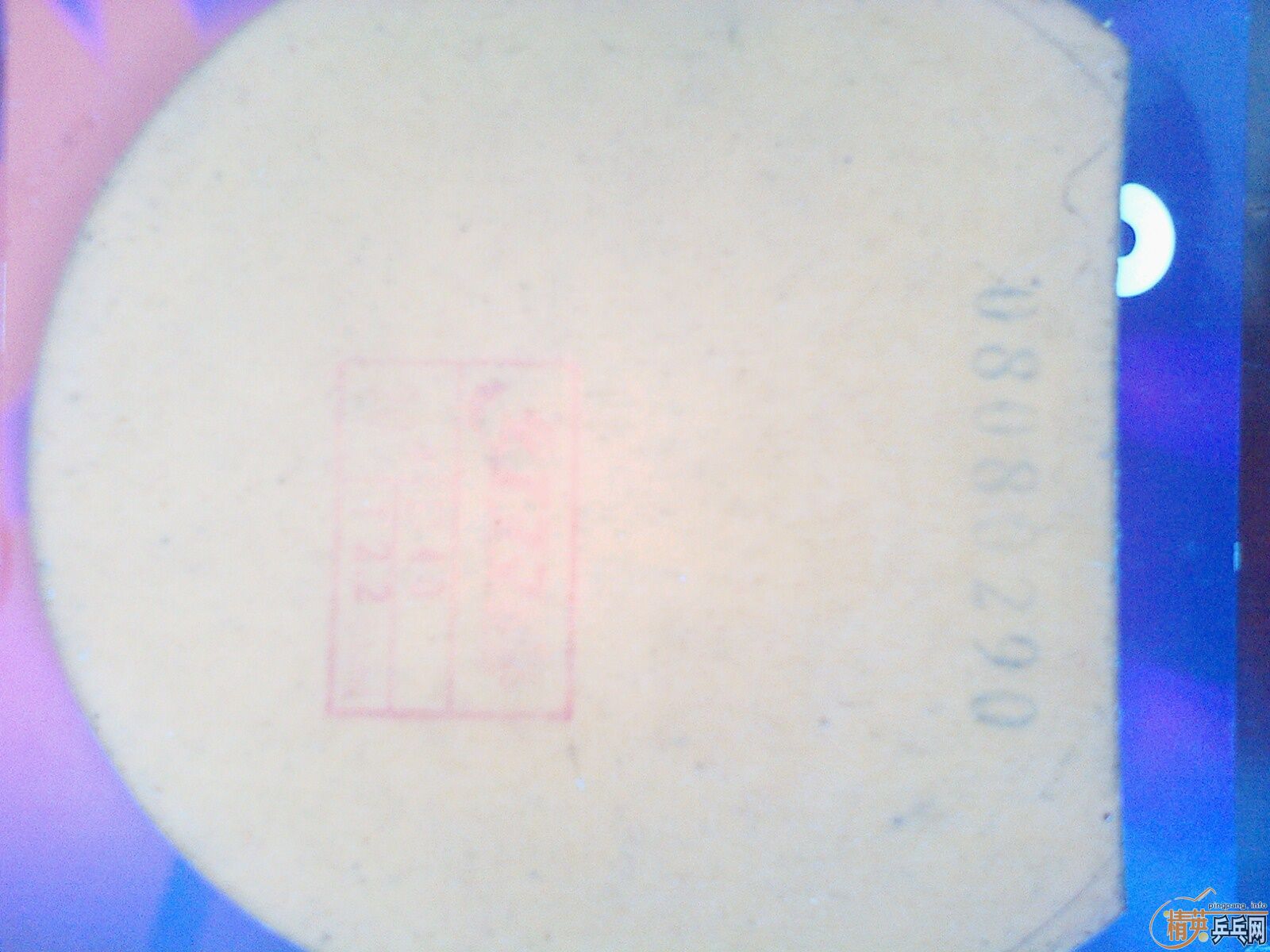 �Ĵ���ë���ˣ���07������һ�ѽ�Ƥ�����������ͺ��ࣩ��֧����