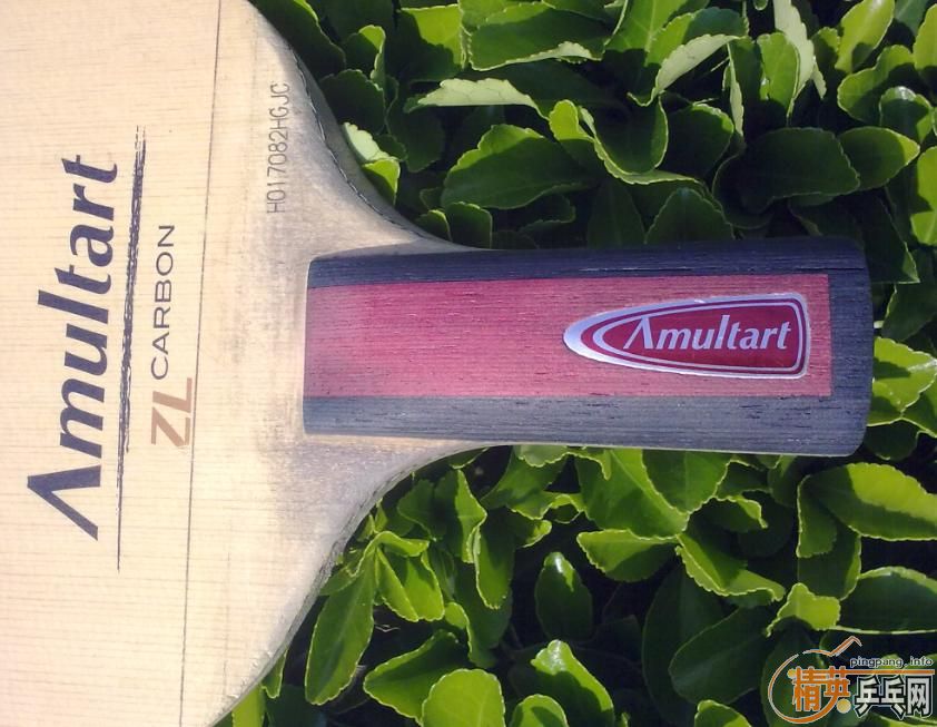 ���ճ��壺����Amultart����54