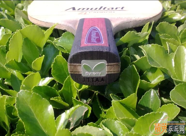 ���ճ��壺����Amultart����54