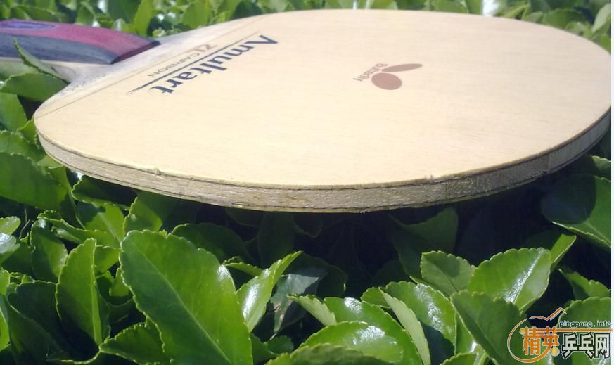 ���ճ��壺����Amultart����54