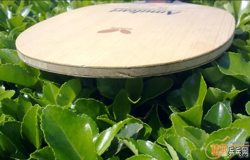 ���ճ��壺����Amultart����54