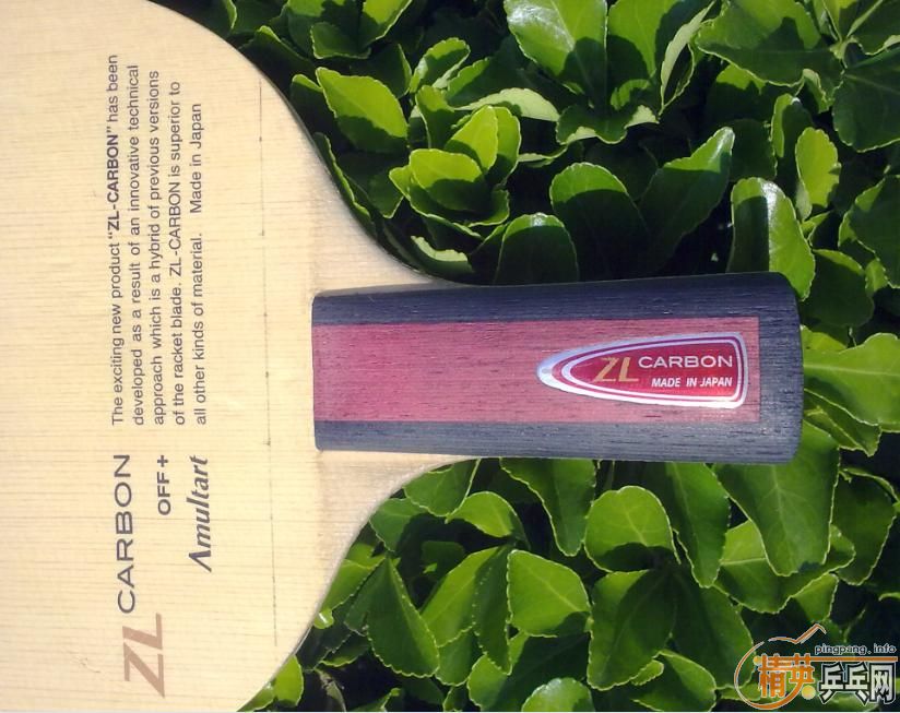 ���ճ��壺����Amultart����54