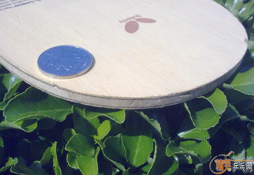 ���ճ��壺����Amultart����54