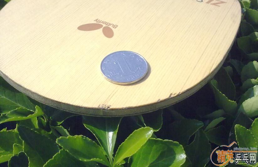 ���ճ��壺����Amultart����54