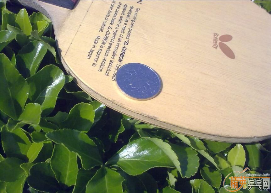 ���ճ��壺����Amultart����54