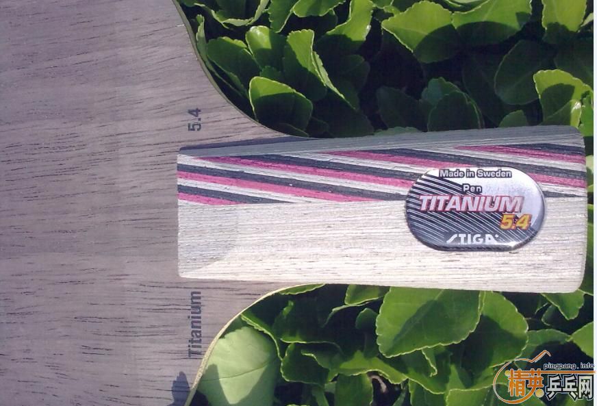 ���ճ��壺����Amultart����54