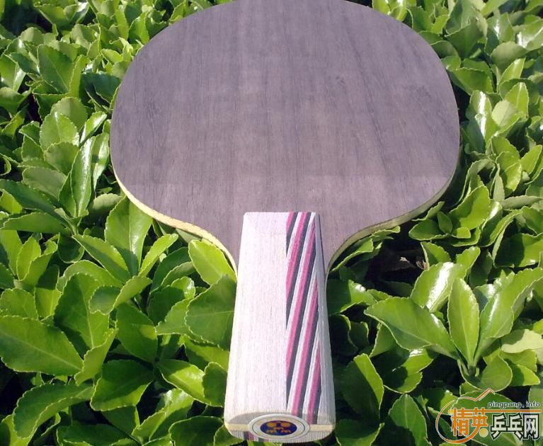 ���ճ��壺����Amultart����54