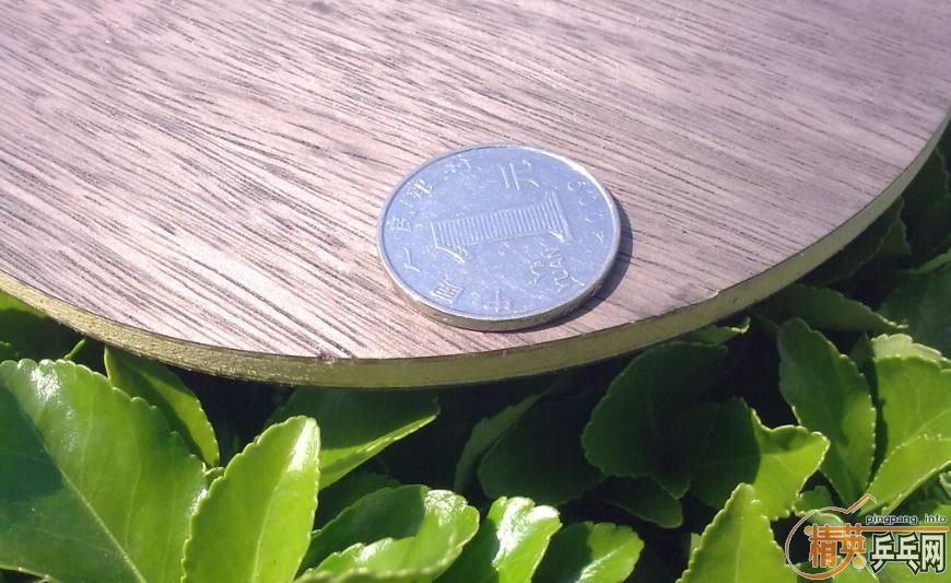 ���ճ��壺����Amultart����54