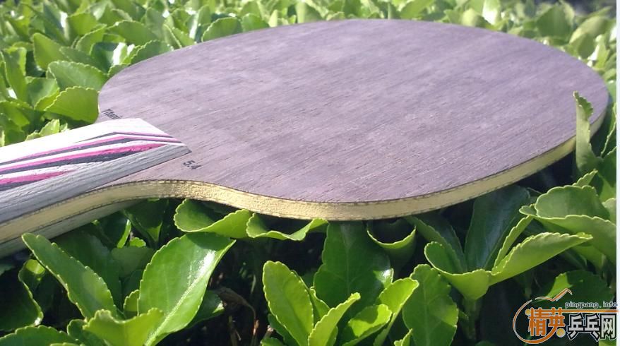 ���ճ��壺����Amultart����54