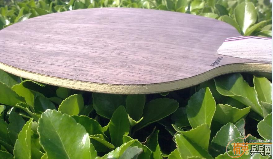 ���ճ��壺����Amultart����54