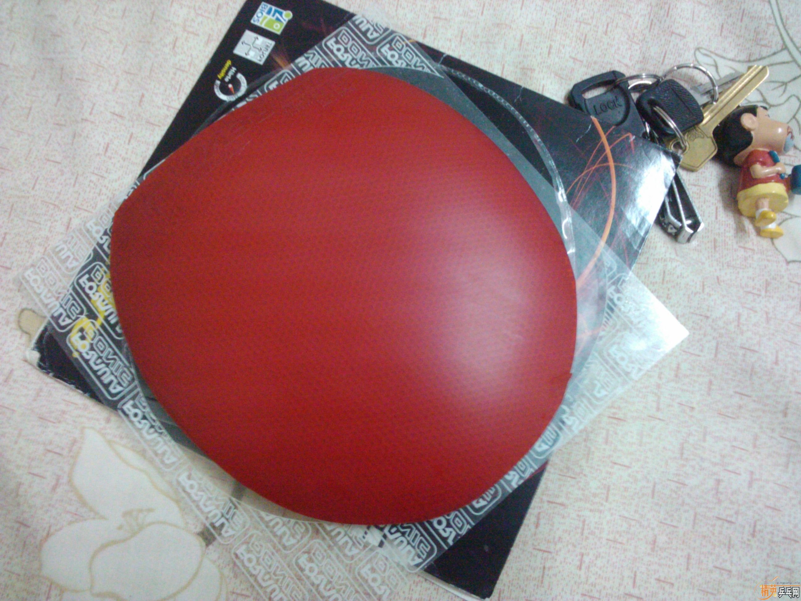 �����ȸ���֮����TSP XSF.1-21