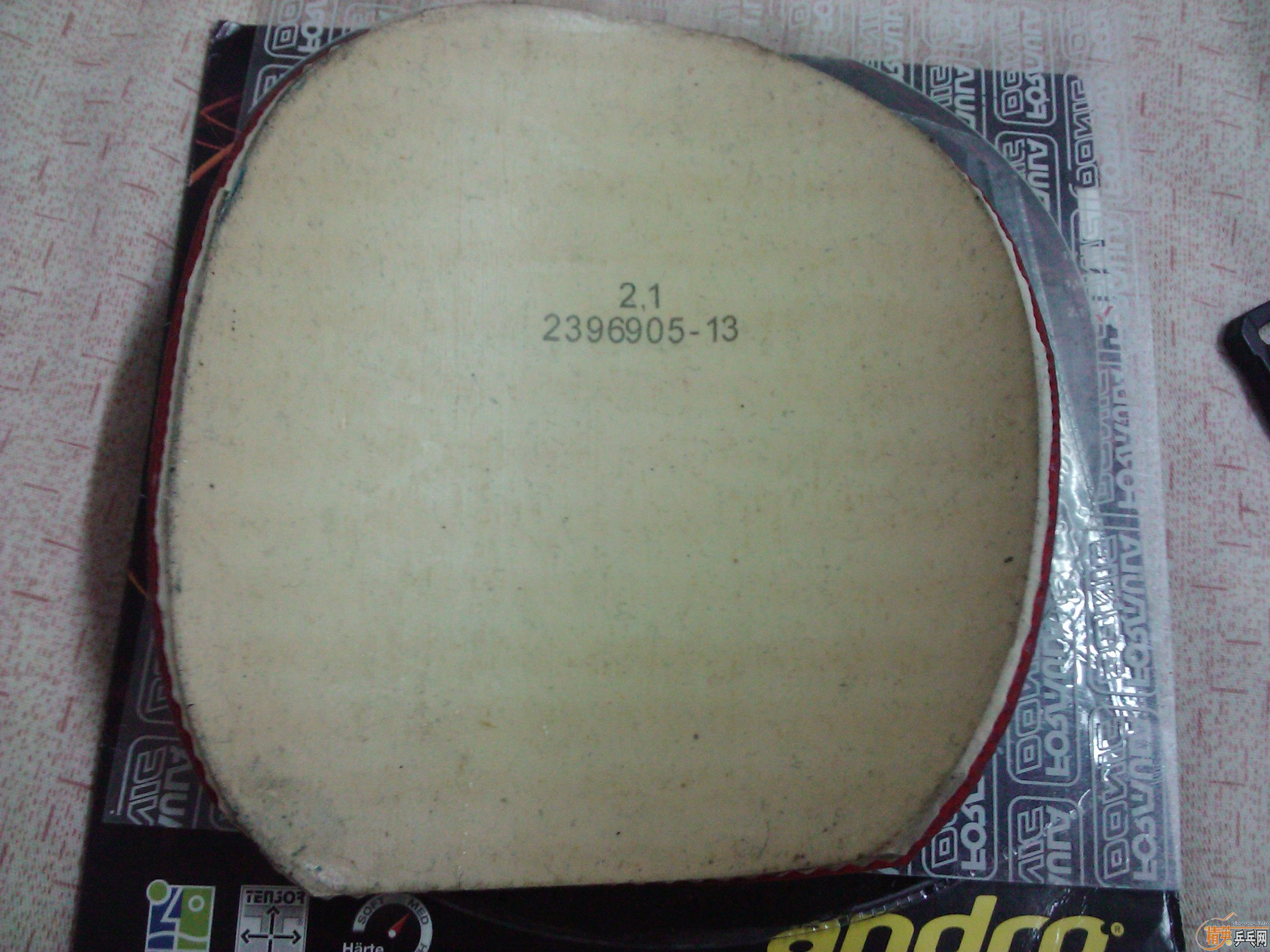 �����ȸ���֮����TSP XSF.1-21