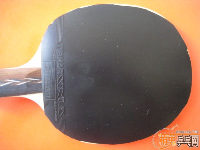 ��ͦ���׽�