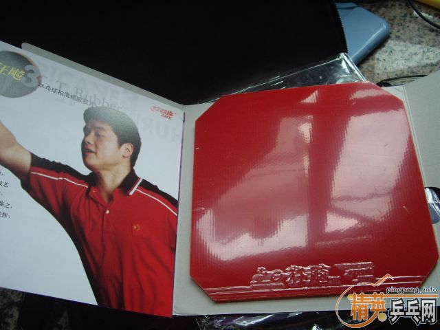 ��8��ʡ���+ʡ���+�տ��