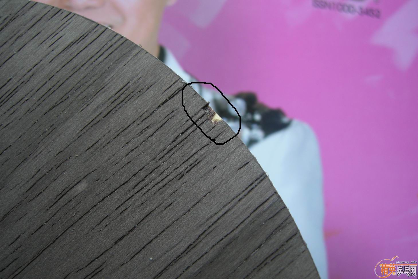 ���ĺ��׽���ANV WL T05 ��� ˹����FX NEO���3