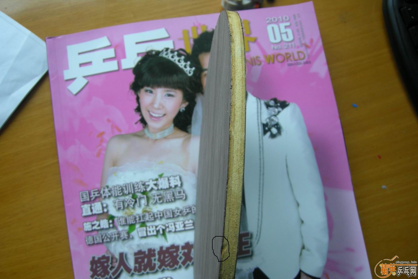 ���ĺ��׽���ANV WL T05 ��� ˹����FX NEO���3