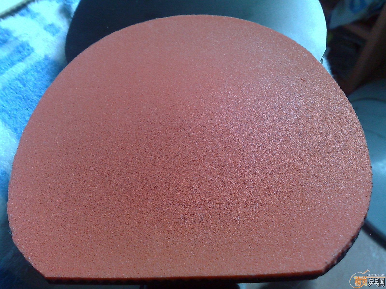 ___�����ź������speed��T05����ȫ��ɫ����������__