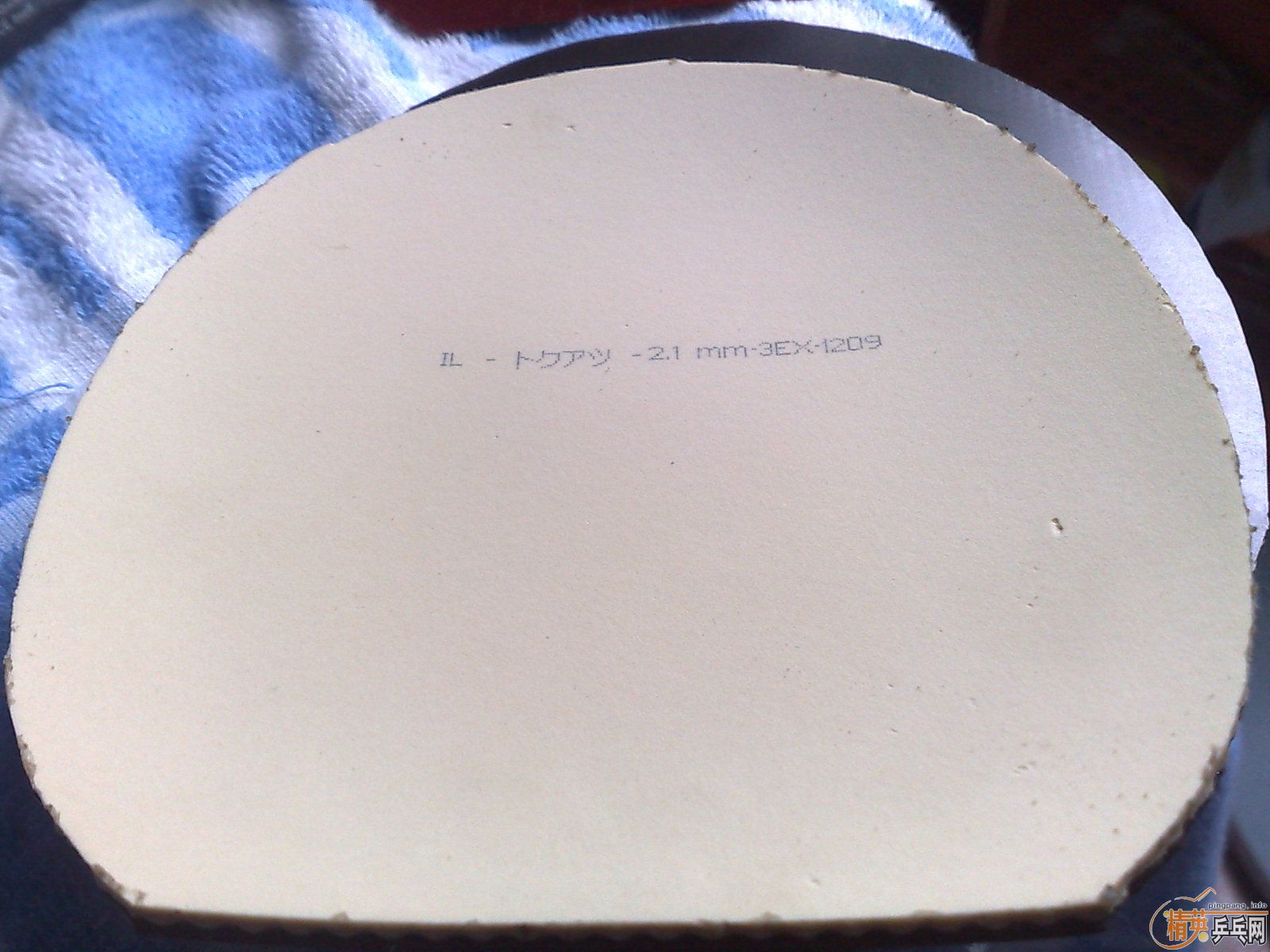 ___�����ź������speed��T05����ȫ��ɫ����������__