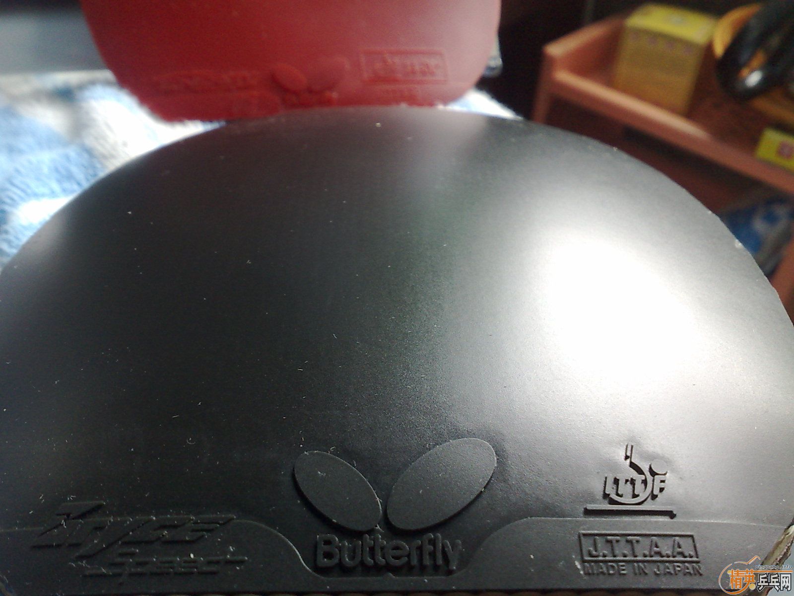 ___�����ź������speed��T05����ȫ��ɫ����������__