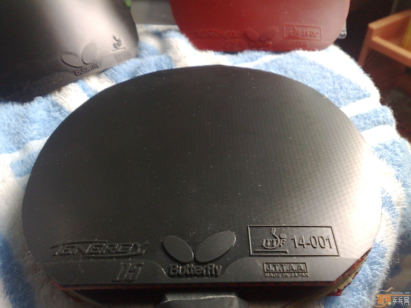 ___�����ź������speed��T05����ȫ��ɫ����������__