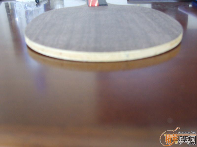 ��9.8����ŷ��˹�Ŀ�̼�ع���