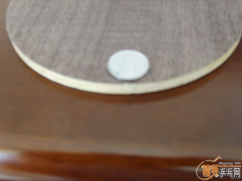 ��9.8����ŷ��˹�Ŀ�̼�ع���