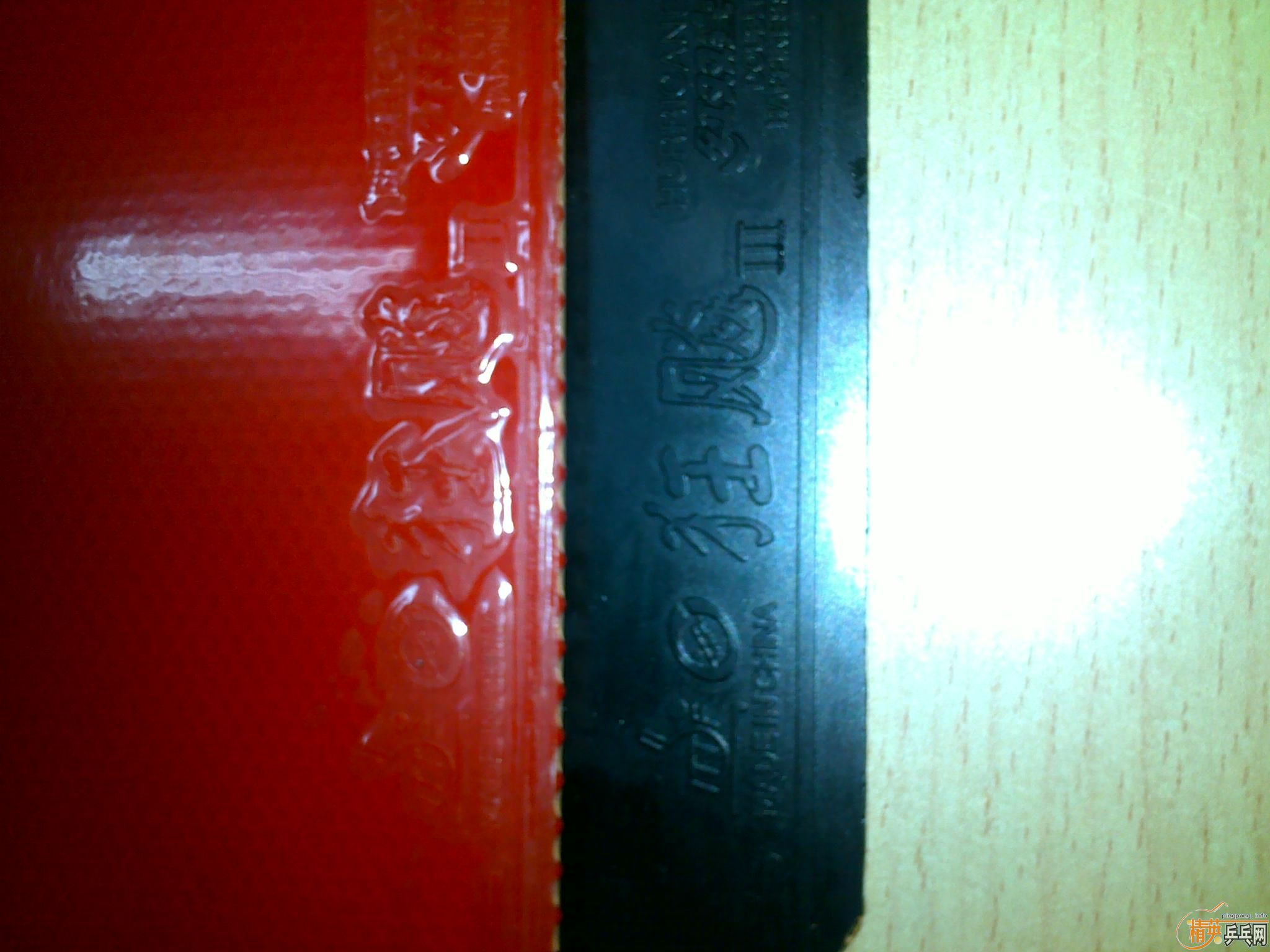 տELǼٵİɣ~