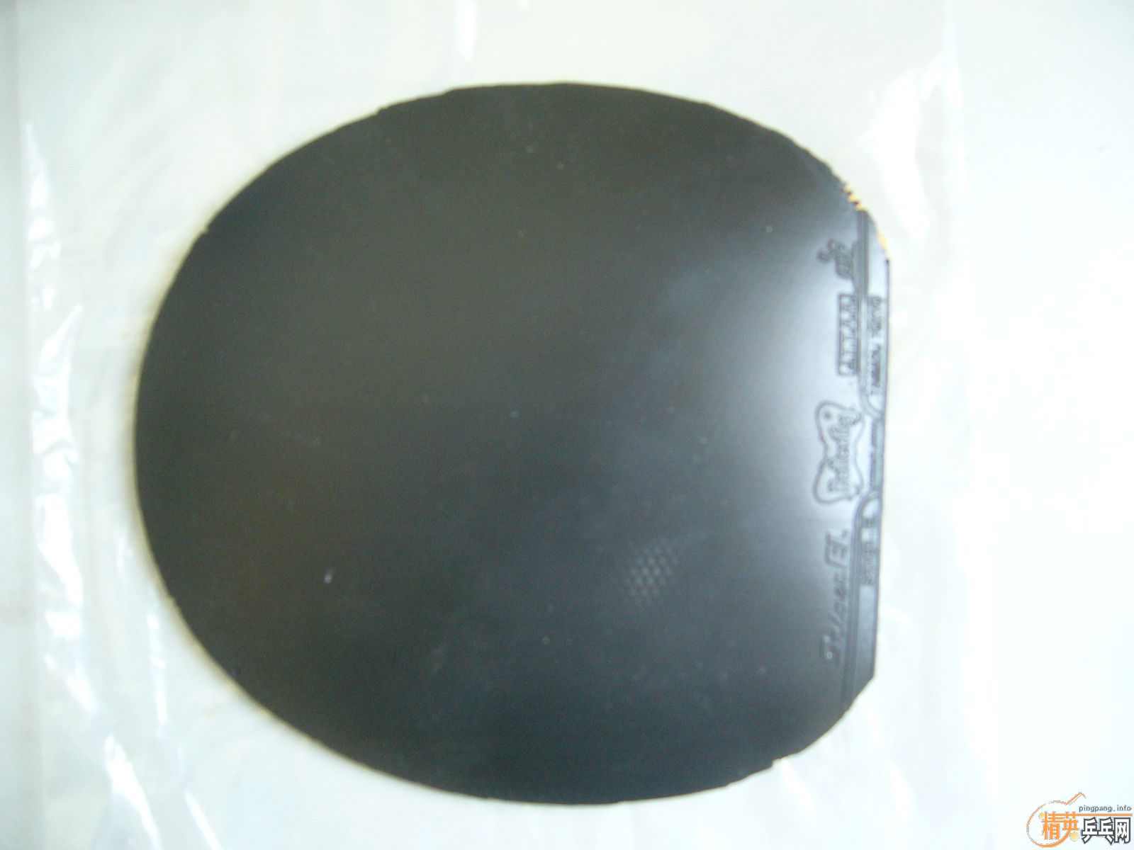 ֱ�����淴������3+EL��100����